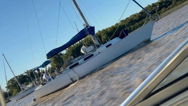 PLENAMAR 36