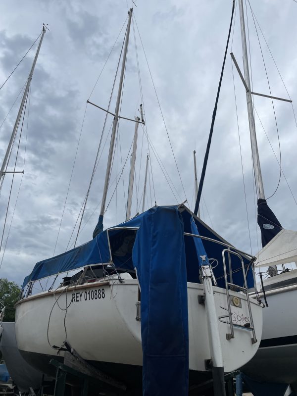 PANDORA 23 - Image 2