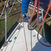 PANDORA 23 - Image 42