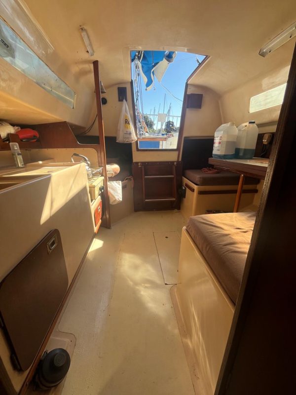 PANDORA 23 - Image 35