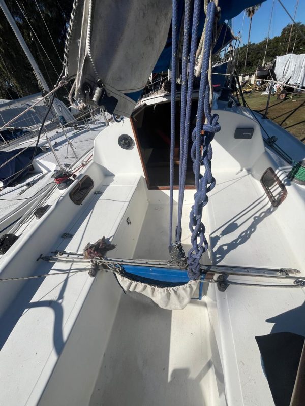 PANDORA 23 - Image 40