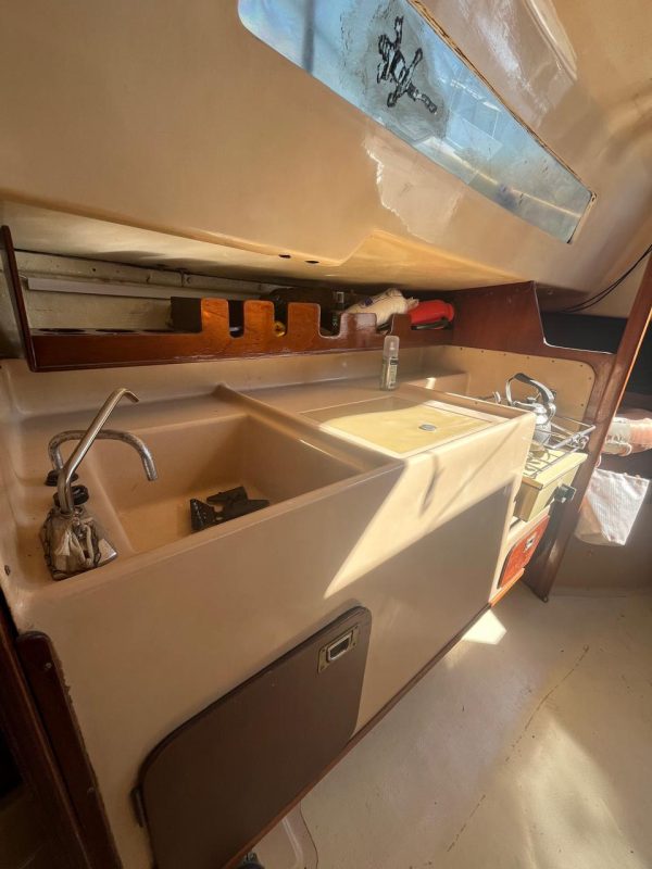 PANDORA 23 - Image 41