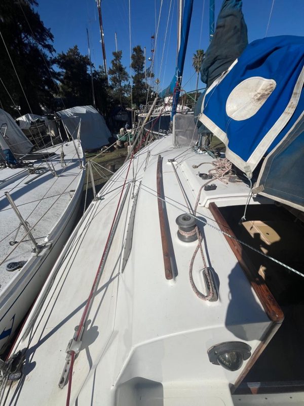 PANDORA 23 - Image 44
