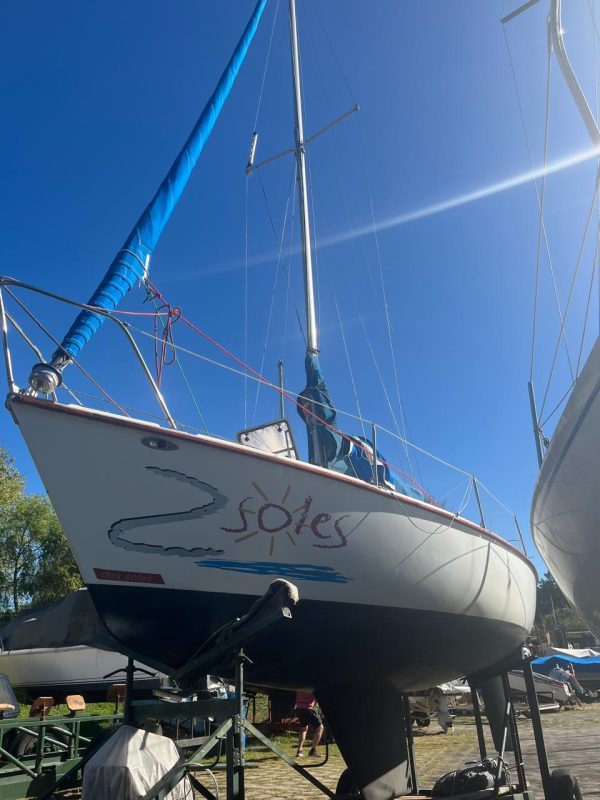 PANDORA 23 - Image 47