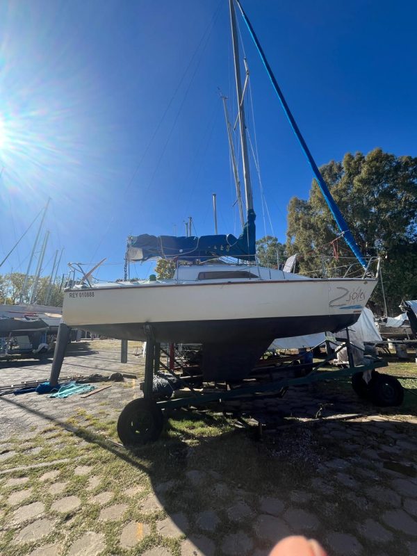 PANDORA 23 - Image 48