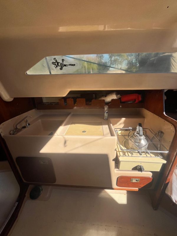 PANDORA 23 - Image 49