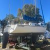 PANDORA 23 - Image 50