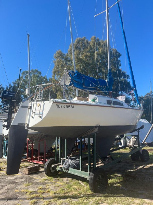 PANDORA 23 - Image 50
