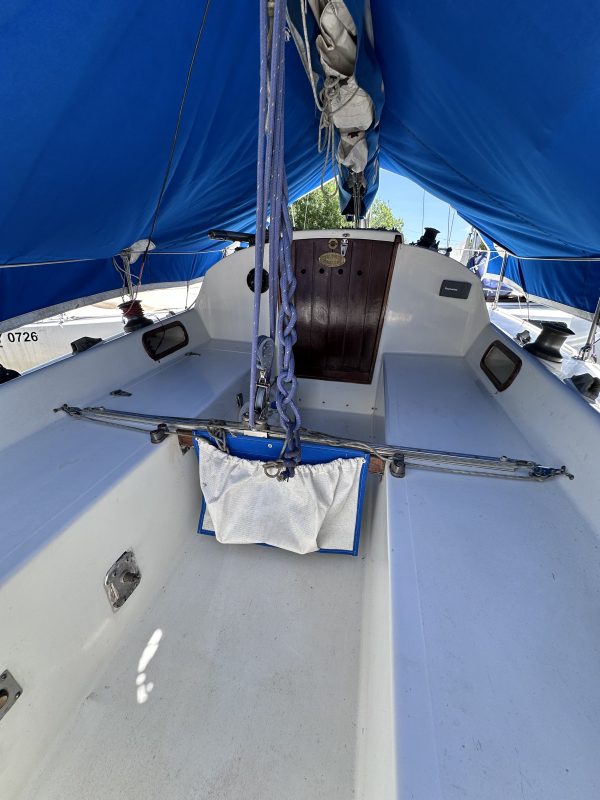 PANDORA 23 - Image 12