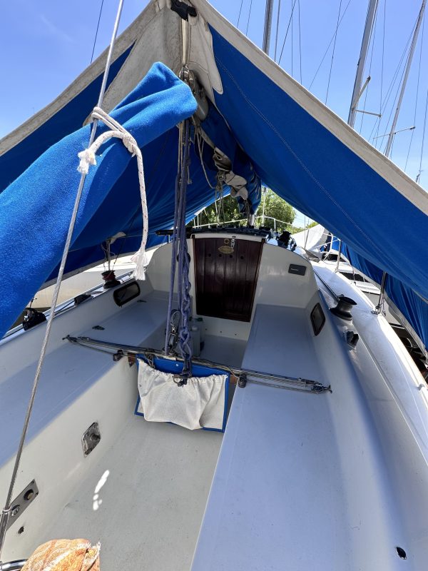 PANDORA 23 - Image 13