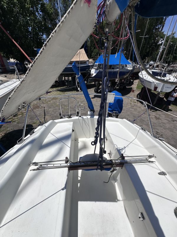 PANDORA 23 - Image 15