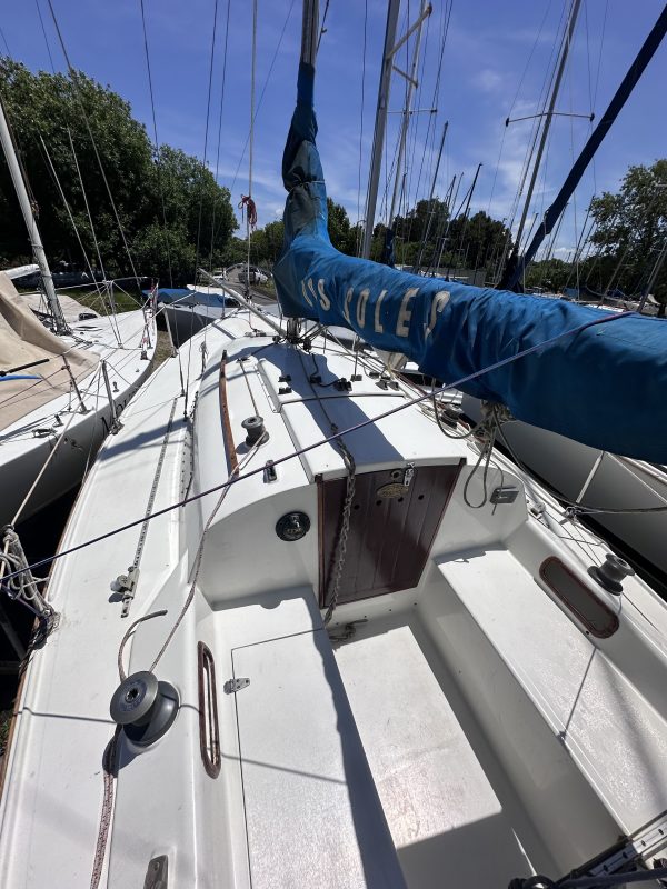PANDORA 23 - Image 17