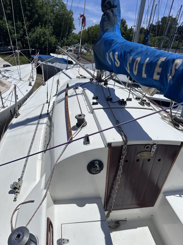 PANDORA 23 - Image 18