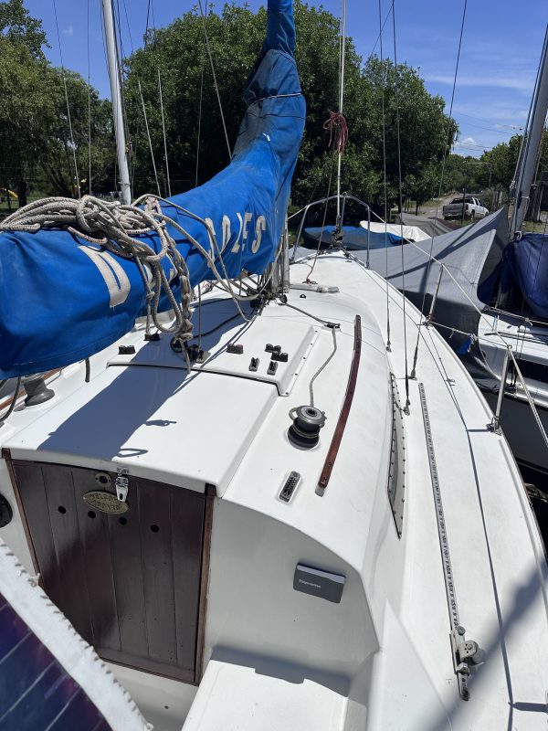 PANDORA 23 - Image 23