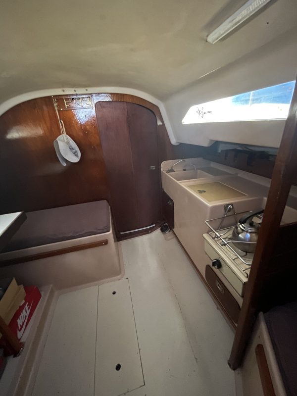 PANDORA 23 - Image 24