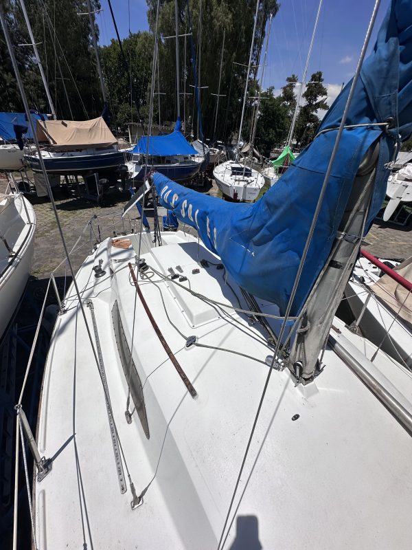 PANDORA 23 - Image 25