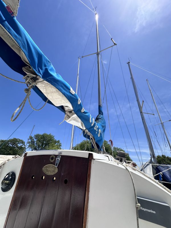PANDORA 23 - Image 26