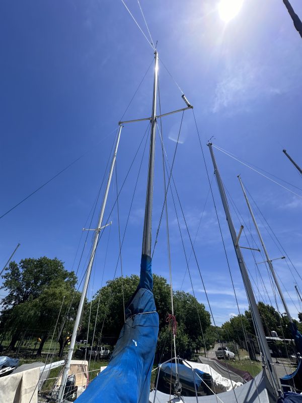 PANDORA 23 - Image 27