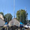 PANDORA 23 - Image 29