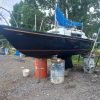 TROTTER PANDORA - Image 4