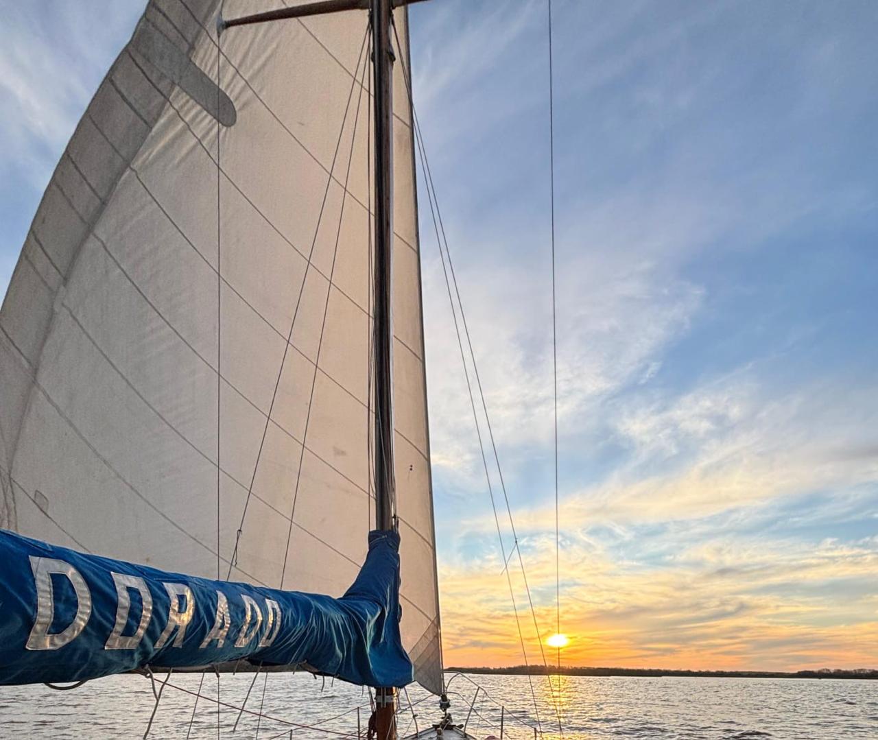 DORADO B FRERS - Image 19