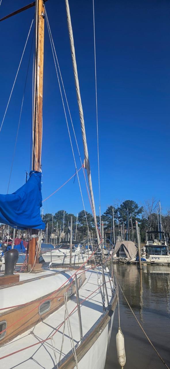DORADO B FRERS - Image 21