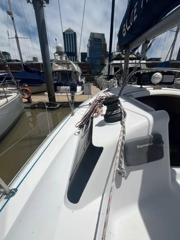 Bramador 28´ Nova - Image 17