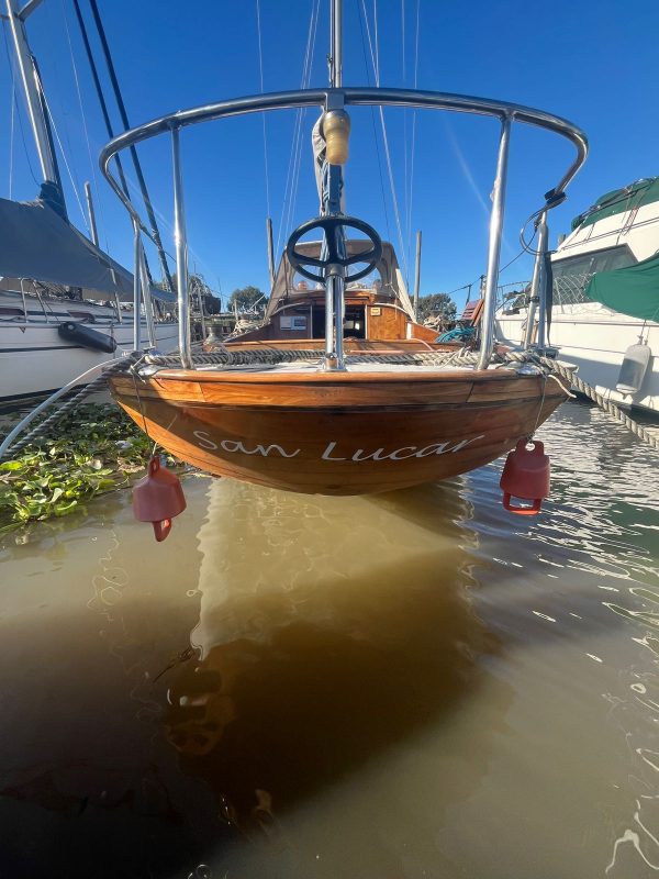 Dorado B Frers - Image 17
