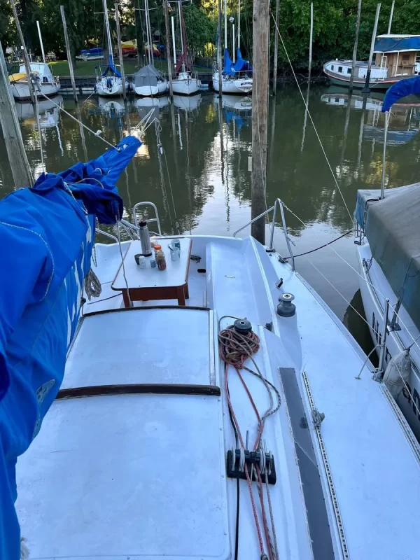 Sailor 875 - Image 19
