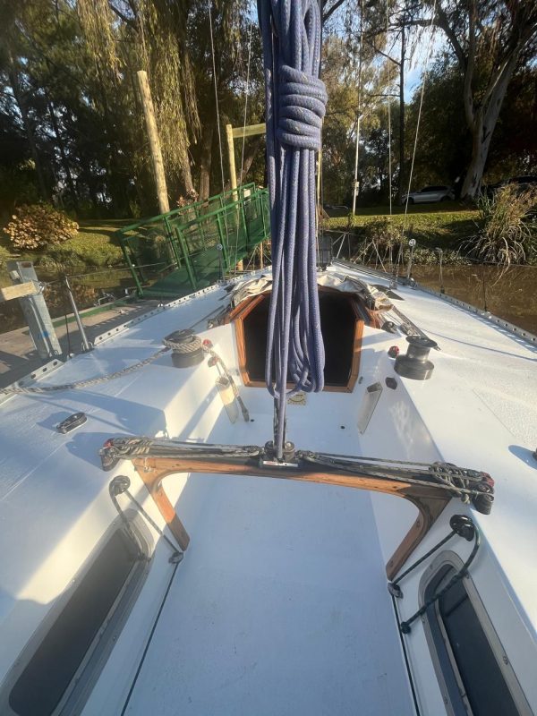 Cuarteron de frers "Coni" - Image 16