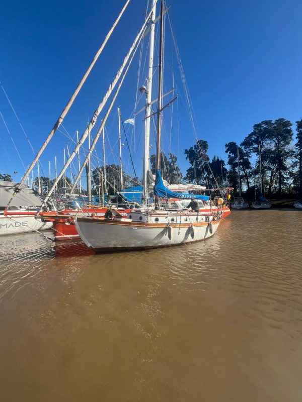 Cutter de Campos “Cimarron “ - Image 3