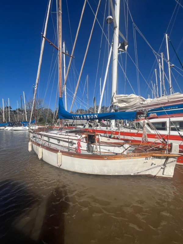 Cutter de Campos “Cimarron “ - Image 4
