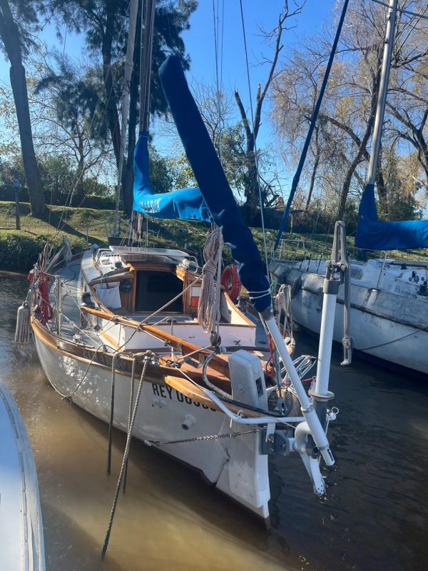 Cutter de Campos “Cimarron “ - Image 10