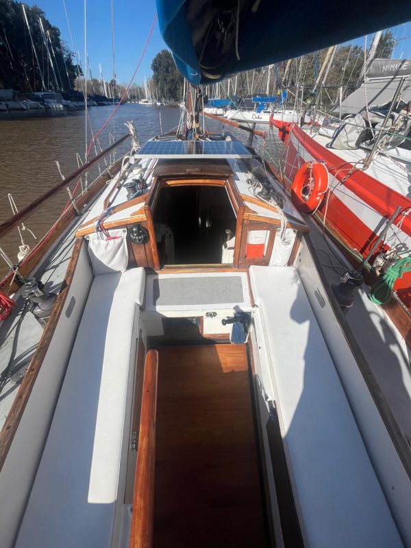 Cutter de Campos “Cimarron “ - Image 13