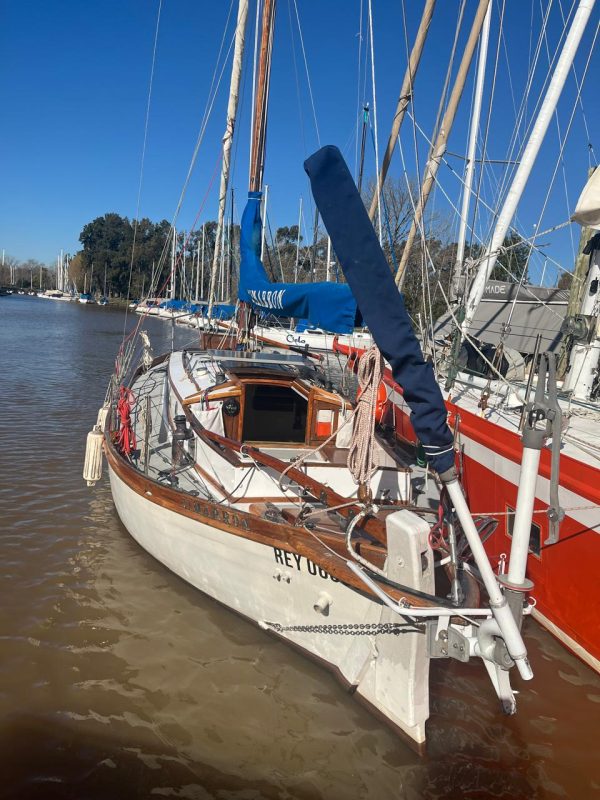 Cutter de Campos “Cimarron “ - Image 7