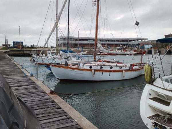Cutter de Campos “Cimarron “ - Image 36