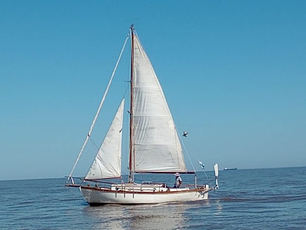 Cutter de Campos “Cimarron “ - Image 37