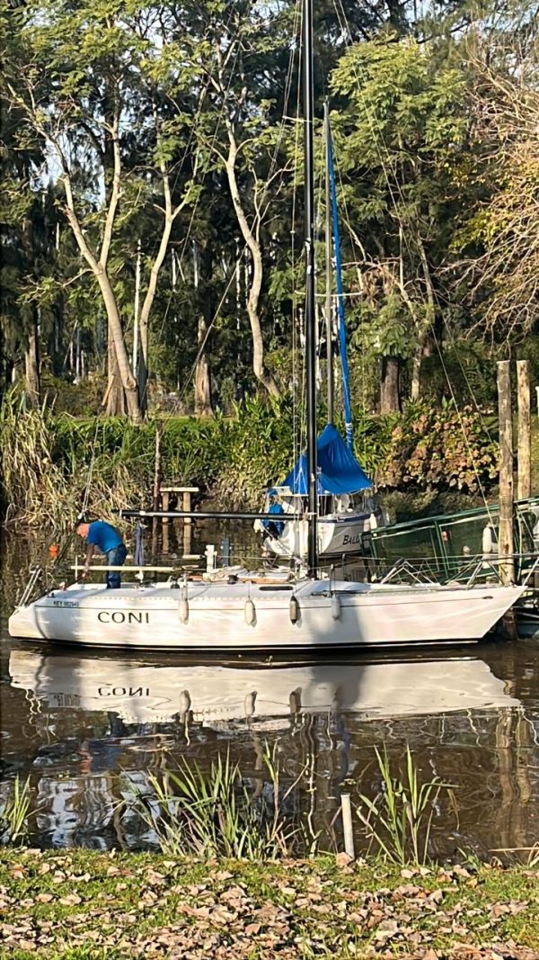 Cuarteron de frers "Coni"