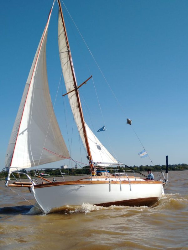 Cutter de Campos “Cimarron “
