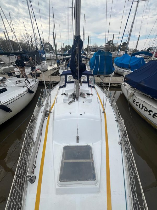 Roy 26’ - Image 5