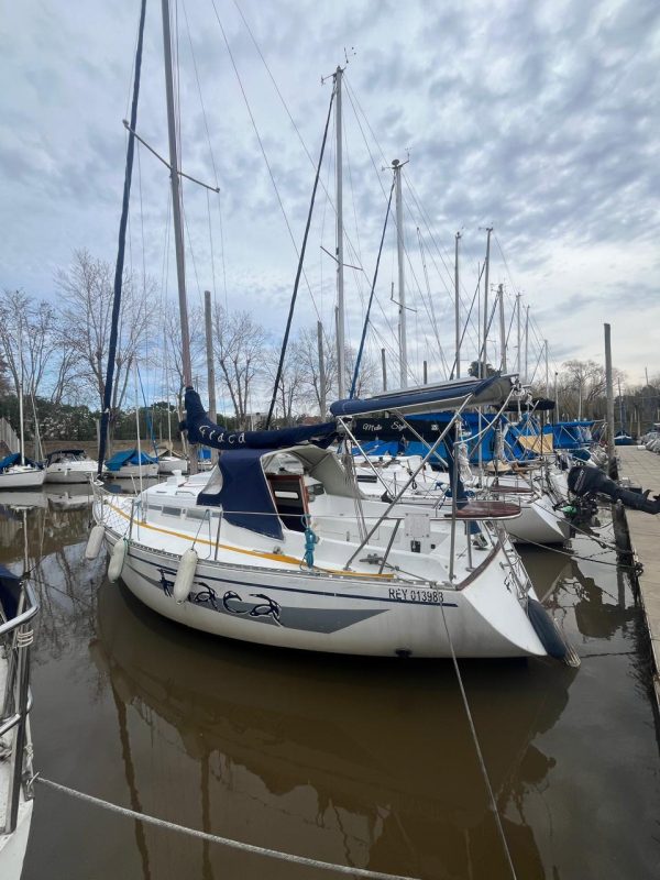 Roy 26’ - Image 23