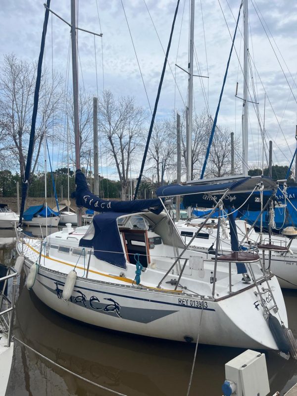 Roy 26’