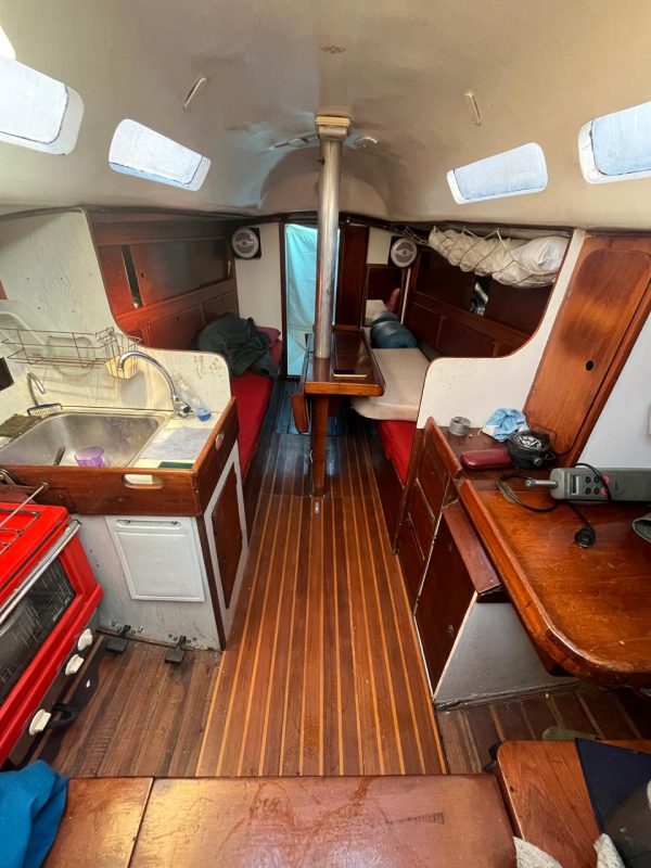Miura 31’ - Image 5