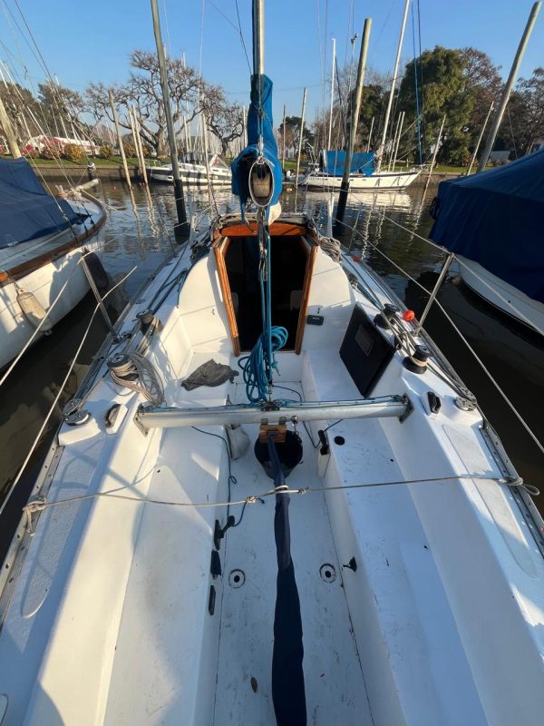 Miura 31’ - Image 8