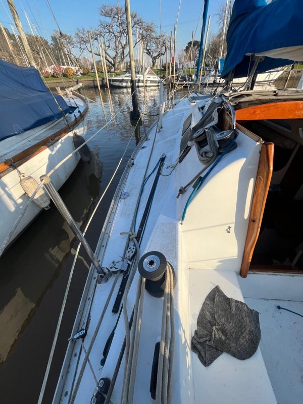 Miura 31’ - Image 12
