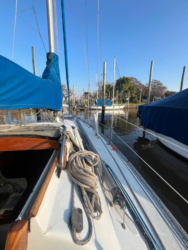 Miura 31’ - Image 14