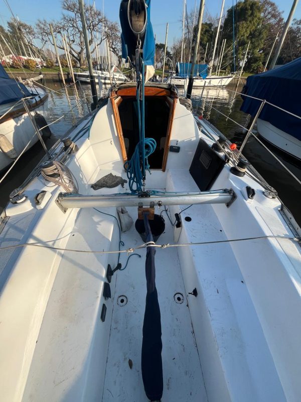 Miura 31’ - Image 16