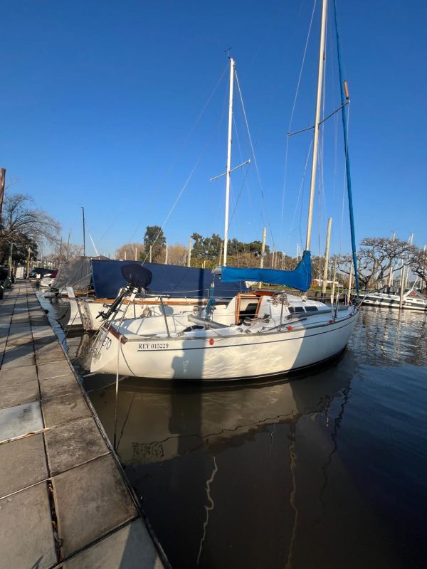 Miura 31’ - Image 17