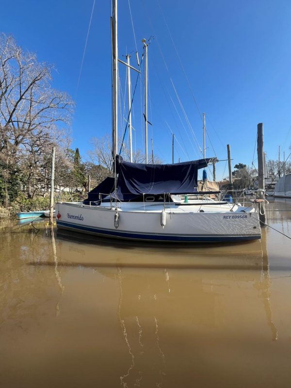 Bramador 28’ Nova - Image 2