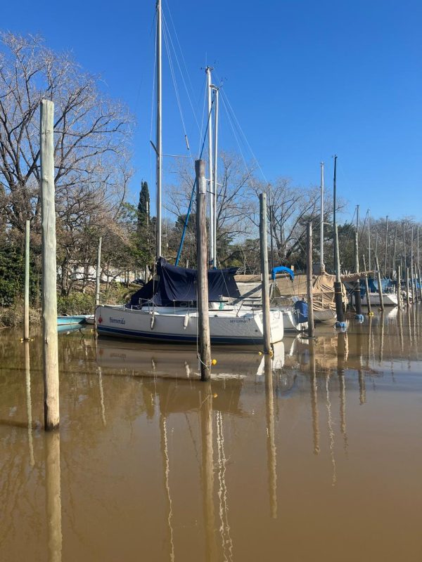 Bramador 28’ Nova - Image 3